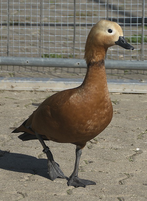 将对浙江这